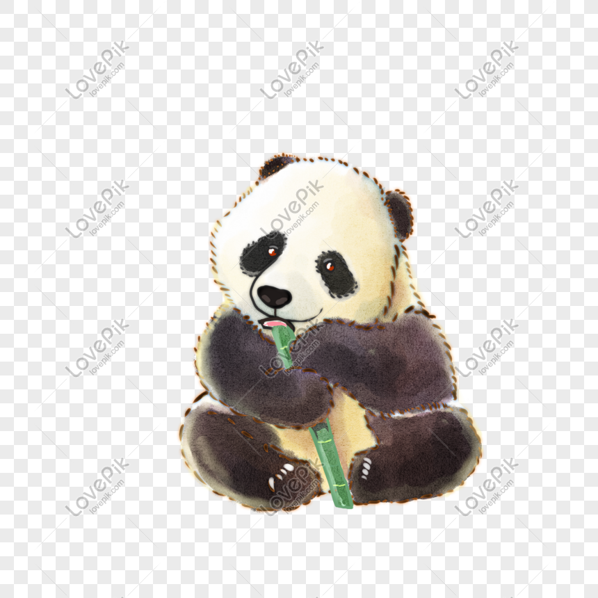 Hand Drawn Watercolor Picture Book Cartoon Panda PNG Picture And ...