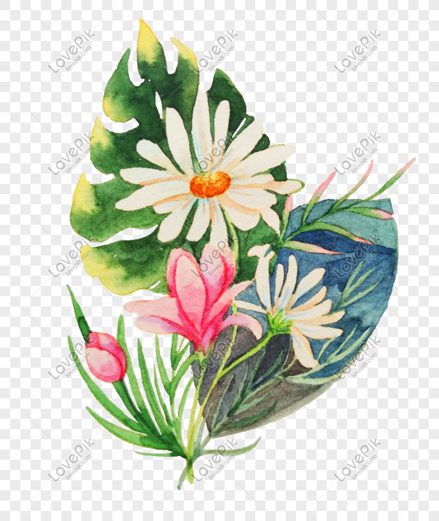 Ilustrasi Bunga Bunga Indah Yang Digambar Tangan Png Grafik Gambar