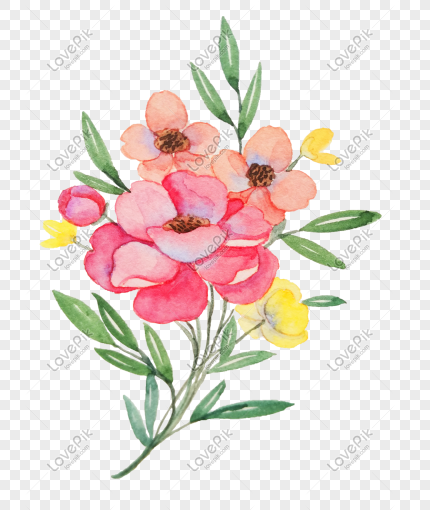 Ilustrasi Bunga Peony Pink Yang Digambar Tangan Gambar Unduh