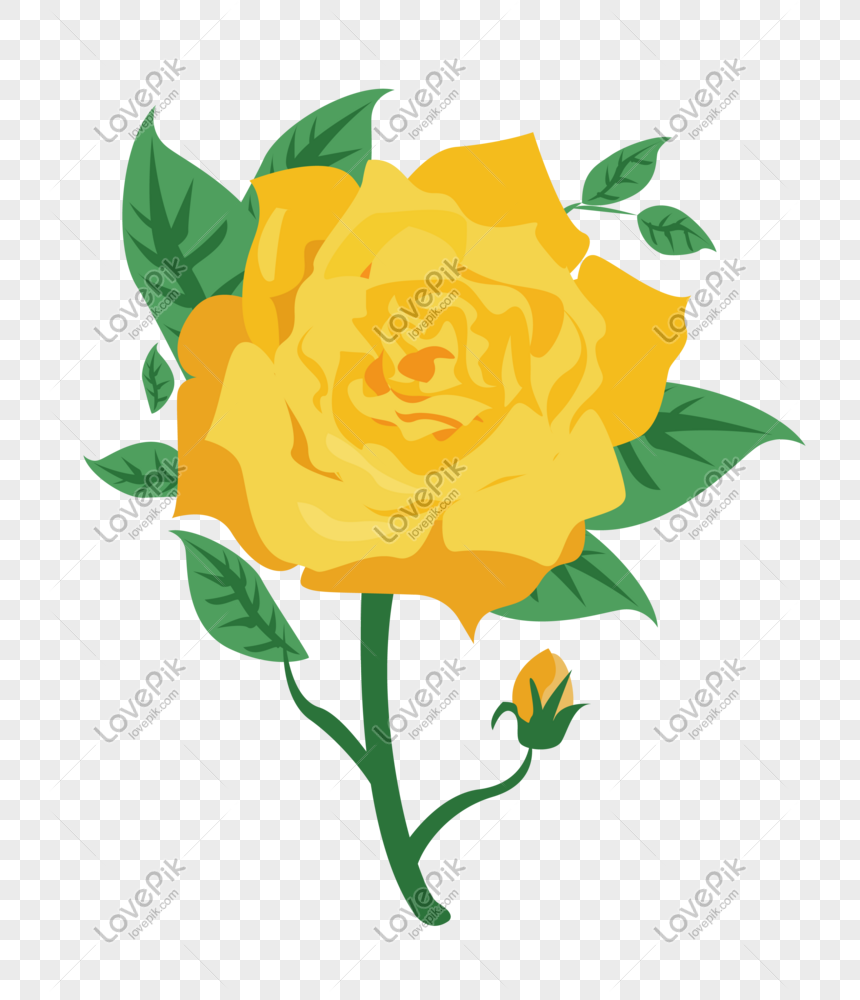 Ilustrasi Bunga Mawar Kuning Yang Digambar Tangan Gambar