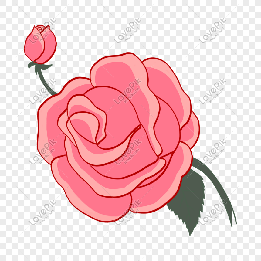 Hoa bông hồng xếp hình trái tim đẹp - PNG