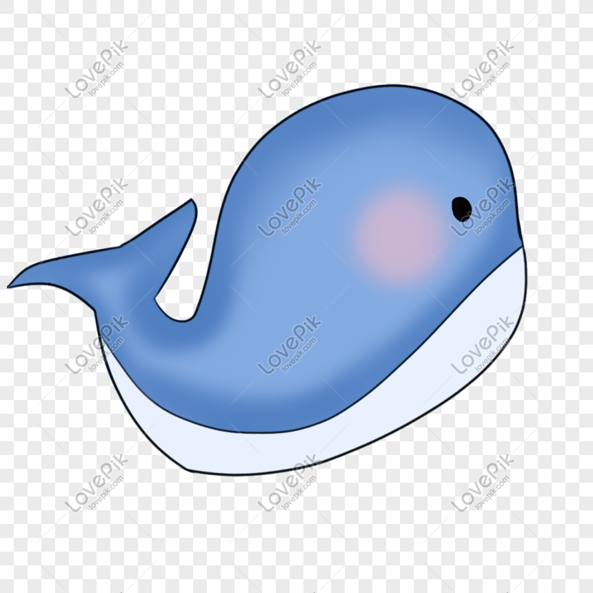 シロナガスクジラのイラスト素材イメージ グラフィックス Id Prf画像フォーマットpsd Jp Lovepik Com