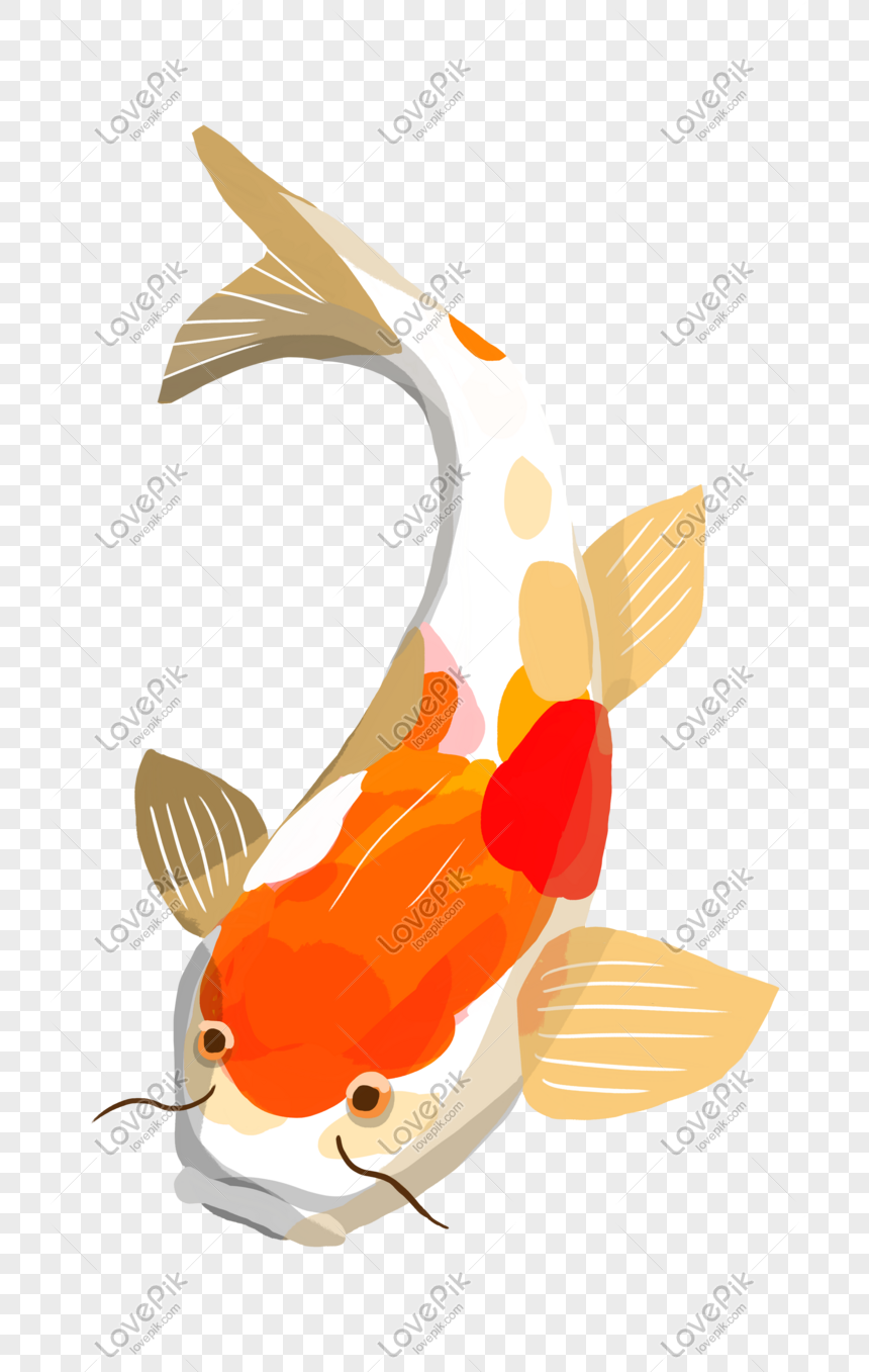 ปลาคาร์ฟสีเหลืองวาดด้วยมือ Png สำหรับการดาวน์โหลดฟรี - Lovepik
