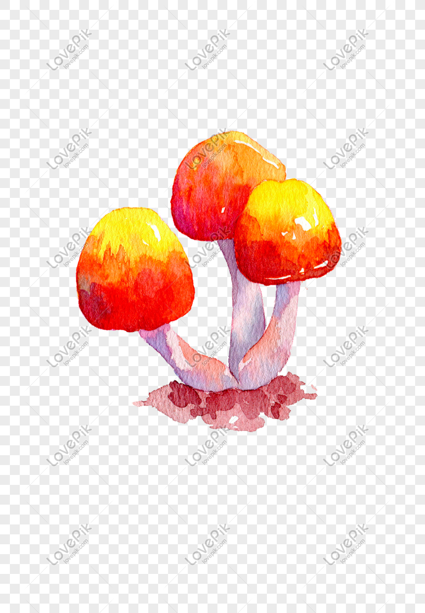 Jamur Ilustrasi Dimakan Jamur Musim Gugur Musim Gugur Jamur Gambar