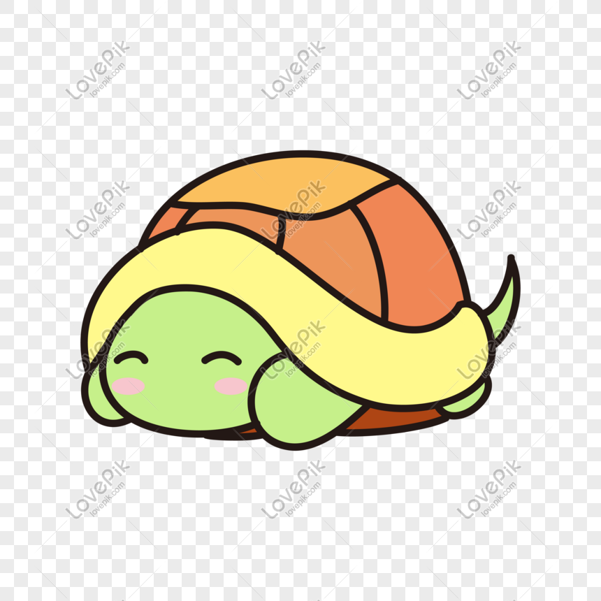 Vector Hand Drawn Cartoon Turtle PNG Free Download And Clipart Image For  Free Download - Lovepik | 611464063