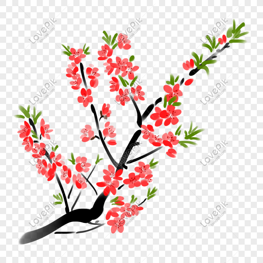 CLB Kiểm Toán t.FAC - NEU - [Cây đào ngày Tết] 1. SỰ TÍCH VỀ CÂY ĐÀO NGÀY  TẾT Nếu như người Nhật có sắc hoa anh đào làm biểu tượng cho