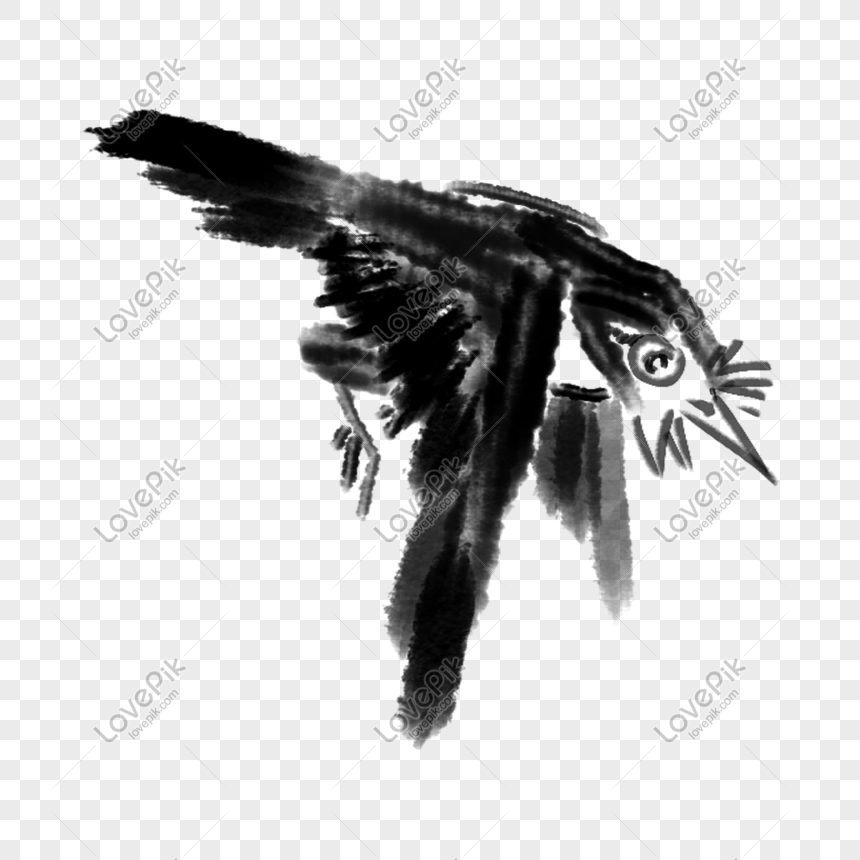 Dibujados A Mano Dibujos Animados Tinta Pintura Vuelo Pájaro PNG Imágenes  Gratis - Lovepik
