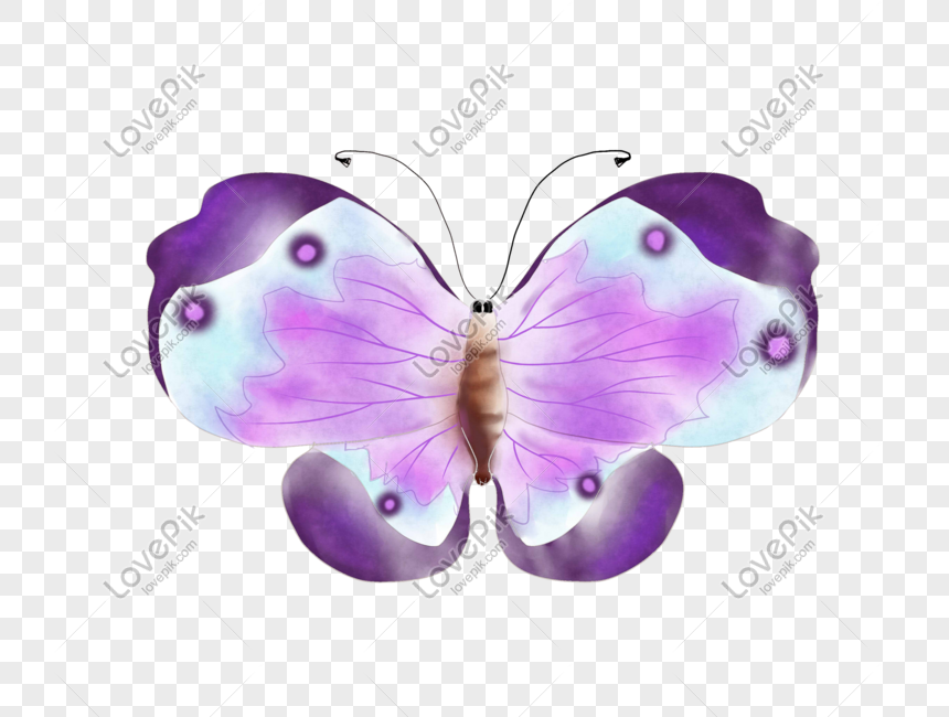 Purple Butterfly PNG Images With Transparent Background | Free Download On  Lovepik