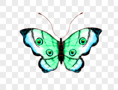 green butterflies images