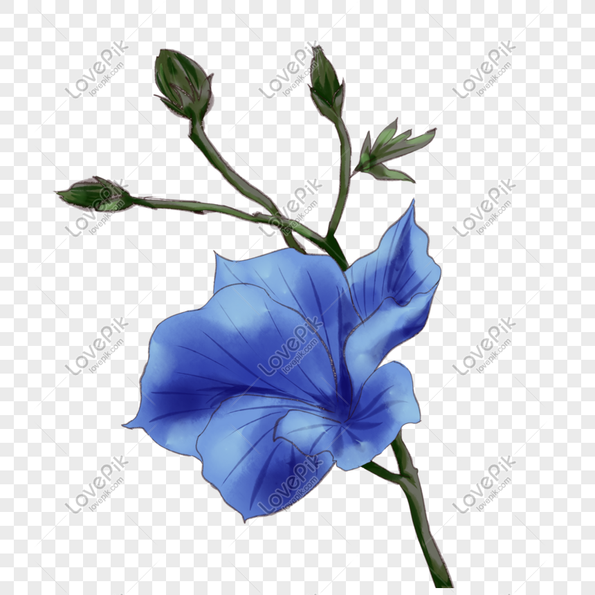 Dibujado A Mano Ilustración De Flores Azules PNG Imágenes Gratis - Lovepik