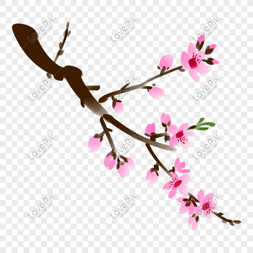Hand Painted Chinese Style Peach Tree Free PNG And Clipart Image ...