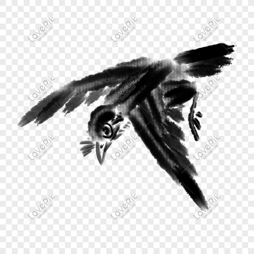Dibujado A Mano Pájaro Negro De Dibujos Animados PNG Imágenes Gratis -  Lovepik