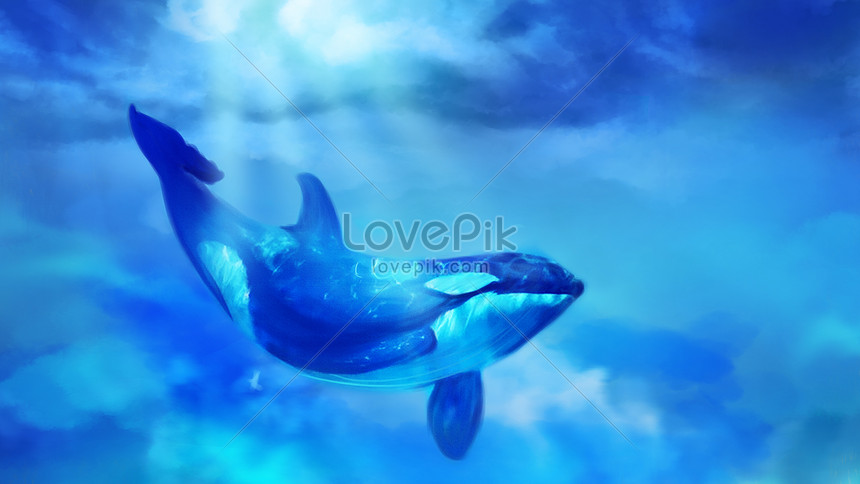 Ocean whale dream illustration illustration image_picture free download  