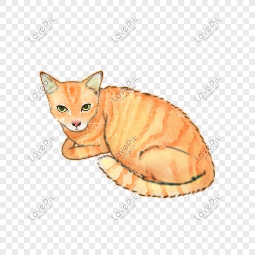 Hand Painted Watercolor Picture Book Cartoon Cat Orange Cat Png 