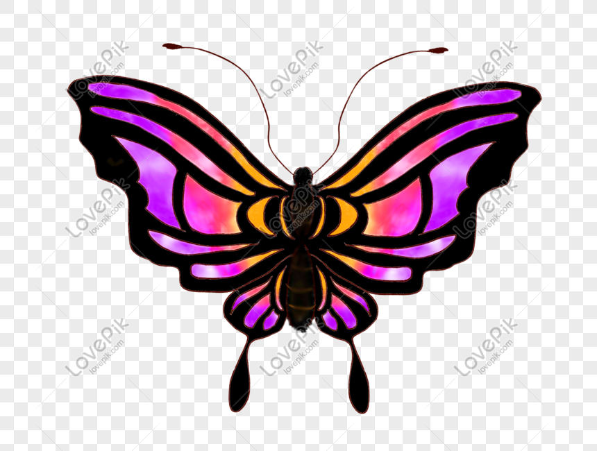 Thử thách Hình vẽ con bướm màu tím đầy thú vị