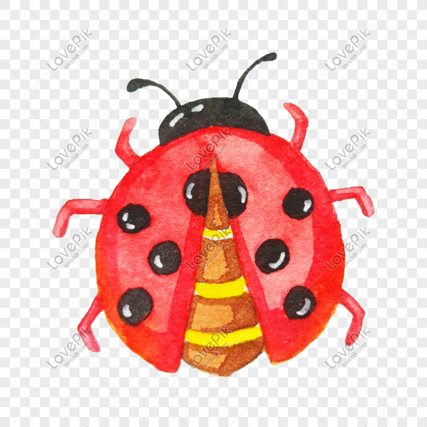 Bạn đang quan tâm đến những thứ nhỏ bé và đáng yêu? Ladybug PNG sẽ khiến bạn như bị ám ảnh với sự xinh đẹp và tinh tế của các hình ảnh này. Hãy xem ngay để tận hưởng những điều tuyệt vời nhất từ con bọ nàng!