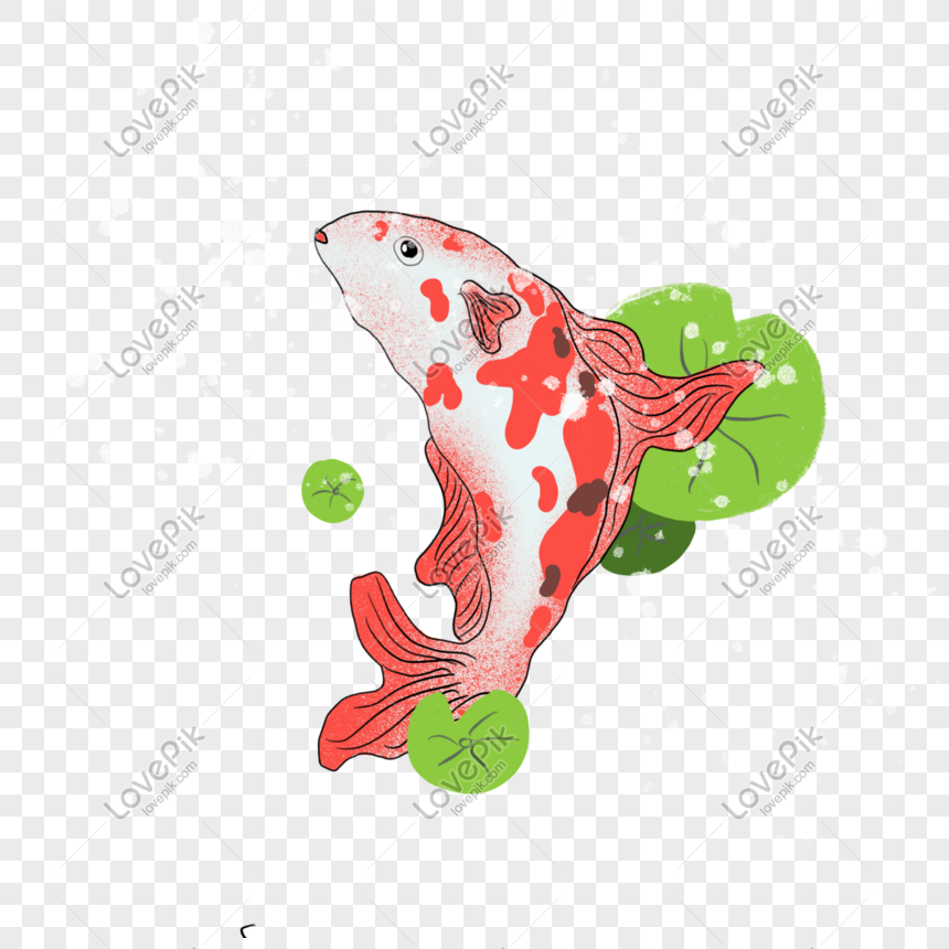 鯉赤シリーズ手描きイラスト縁起の良い鯉pngイメージ グラフィックス Id Prf画像フォーマットpsd Jp Lovepik Com