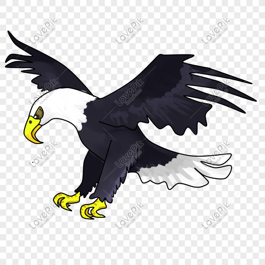 Hand Drawn Animal Cartoon Eagle PNG Transparent And Clipart Image For Free  Download - Lovepik | 611482696