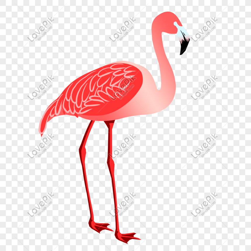 25 Trend Terbaru Gambar Lukisan Burung Flamingo  Jajas Blogs