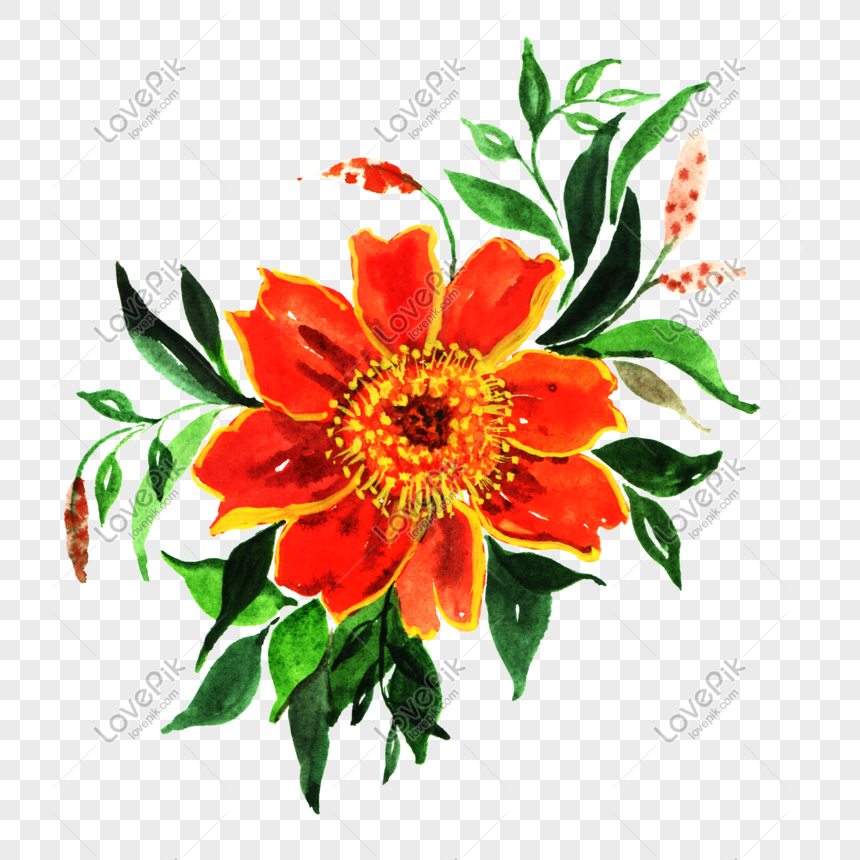 Hand Painted Orange Red Watercolor Flower Png Image Picture Free Download 611490823 Lovepik Com,Bombay Gin And Tonic Recipe