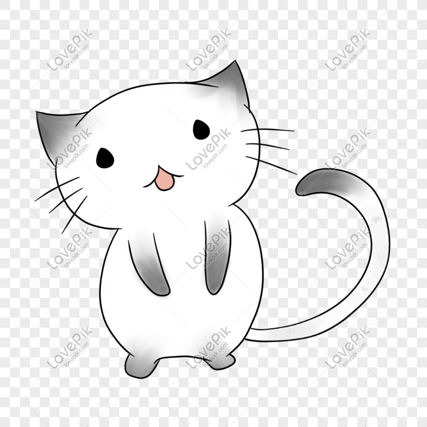 Hình ảnh Mèo Trắng Vẽ Tay PNG Miễn Phí Tải Về - Lovepik