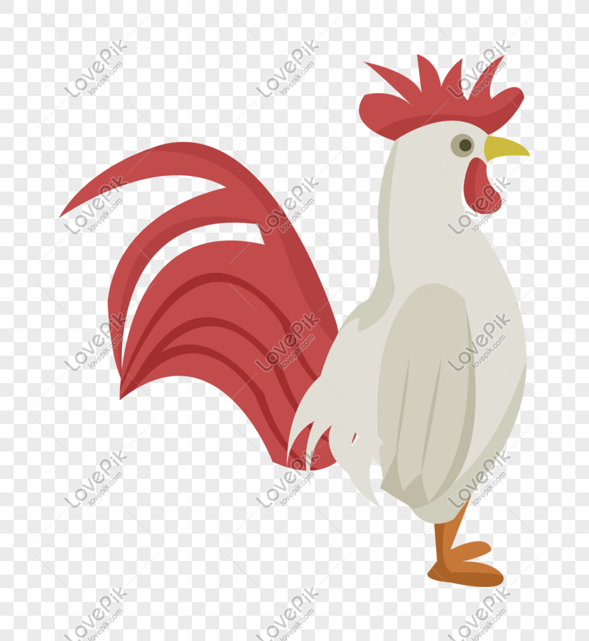Ilustrasi Ayam Putih Besar Digambar Tangan Png Grafik Gambar Unduh