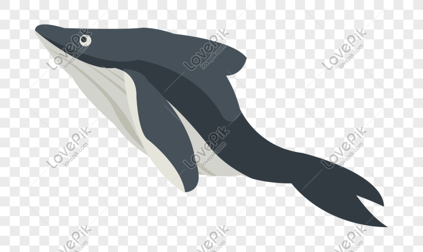Với Shark Illustration, bạn sẽ được trải nghiệm những hình ảnh cực kỳ sống động về loài cá mập khát máu. Được sự liên tưởng từ những tác giả tài ba, bộ sưu tập này đem lại cho bạn những trải nghiệm độc đáo và khó quên.