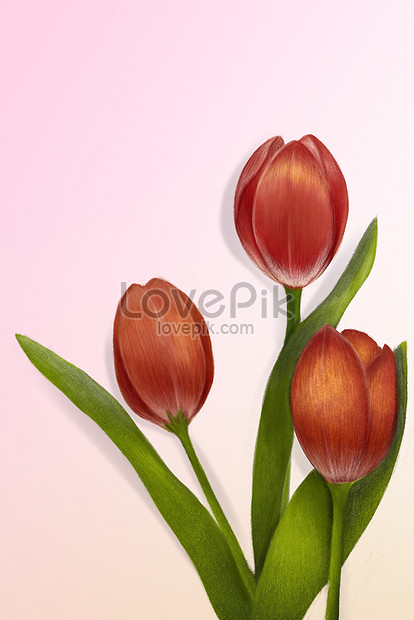 Làm sao để vẽ hoa tulip đẹp lung linh? Hãy xem bức tranh này để học cách vẽ hoa tulip và có thể tự tay vẽ hoa tuyệt đẹp ngay từ bây giờ.