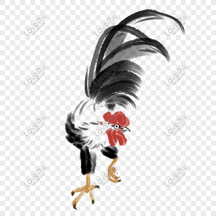 Ilustrasi Ayam Jantan Tinta Yang Ditarik Gambar Unduh