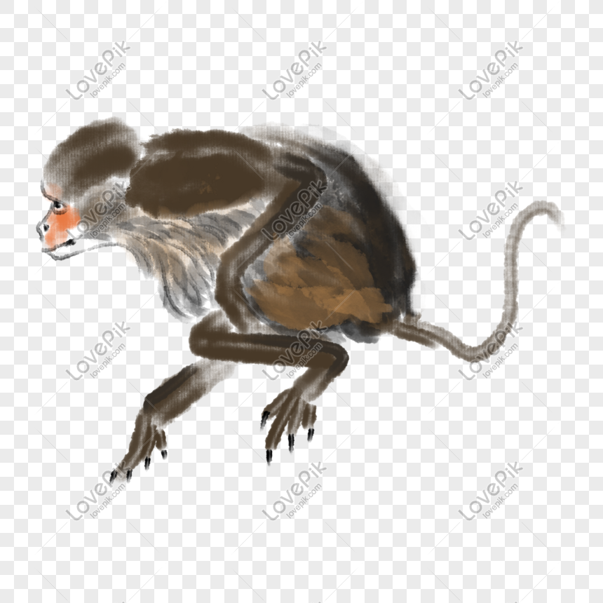 Desenho de um macaco bonito sentado ilustração vetorial macaco desenhado à  mão para colorir