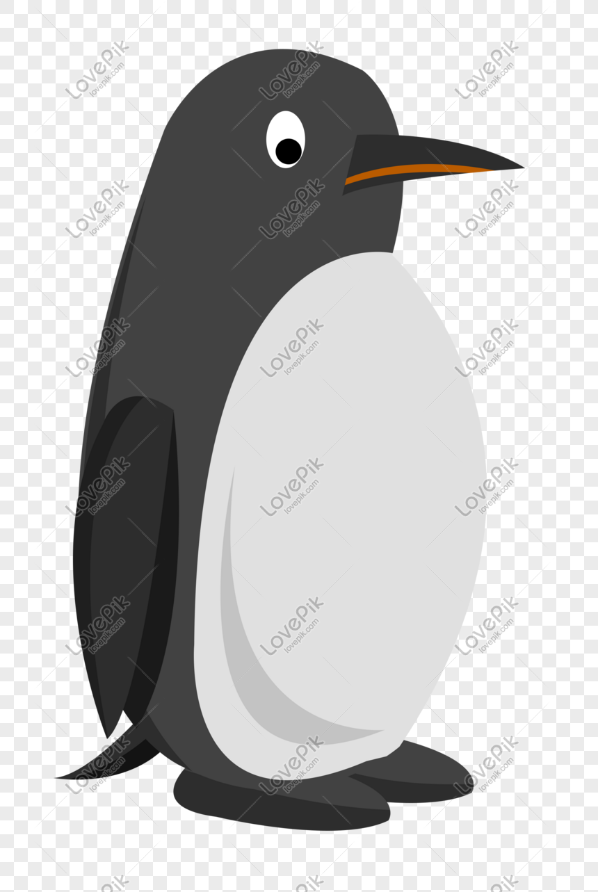 Kartun Penguin Ilustrasi Haiwan Kecil Gambar Unduh Gratis Imej 611500879 Format PSD Mylovepikcom