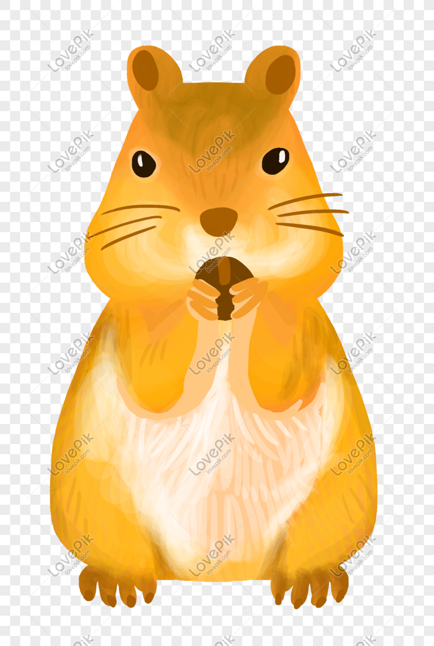 Digambar Tangan Kartun Kucing Kuning PNG Grafik Gambar Unduh Gratis Lovepik