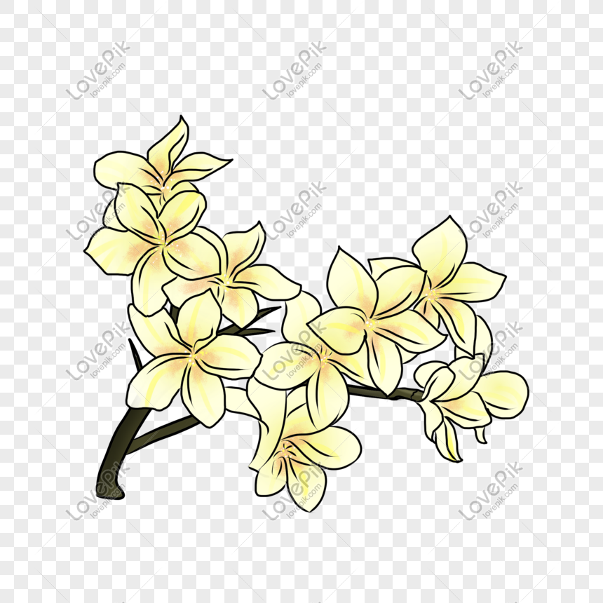 Dibujado A Mano Ilustración De Flores Amarillas PNG Imágenes Gratis -  Lovepik