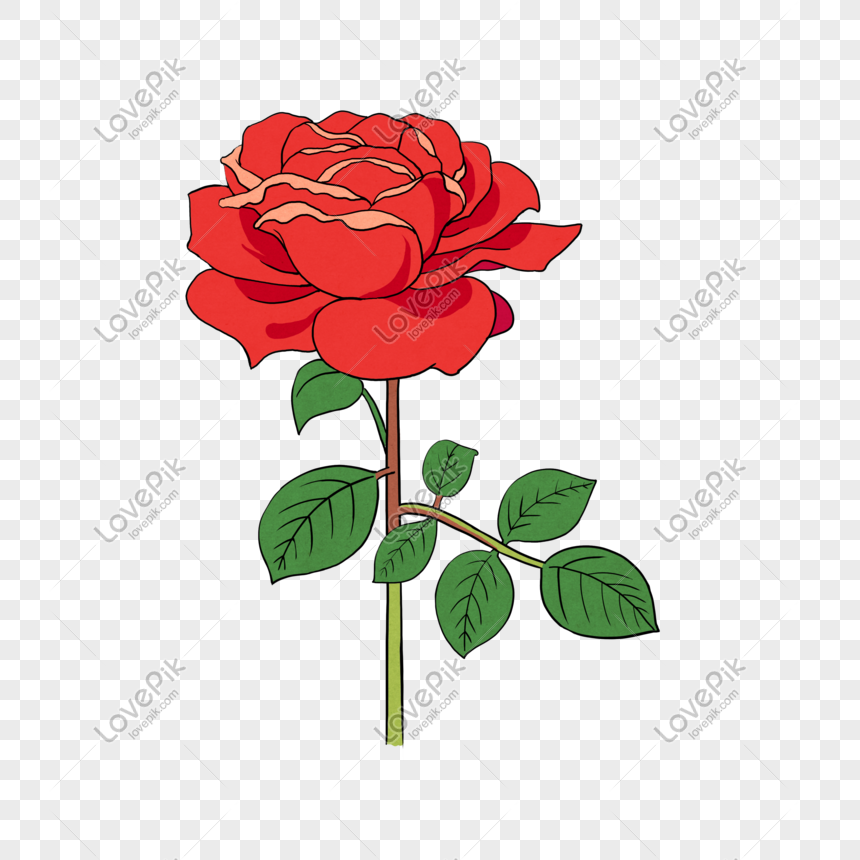 手描きの花植物の赤いバラの花の花の花屋フラワーアレンジメントイメージ グラフィックス Id Prf画像フォーマットpsd Jp Lovepik Com