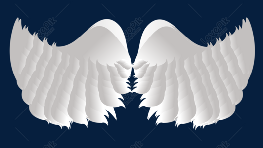 Beautiful Wings PNG Images With Transparent Background | Free Download On  Lovepik