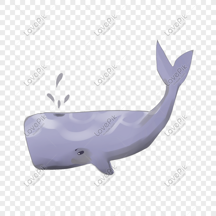 Cartoon Hand Painted Gray Sperm Whale PNG Transparent Background And  Clipart Image For Free Download - Lovepik | 611515980