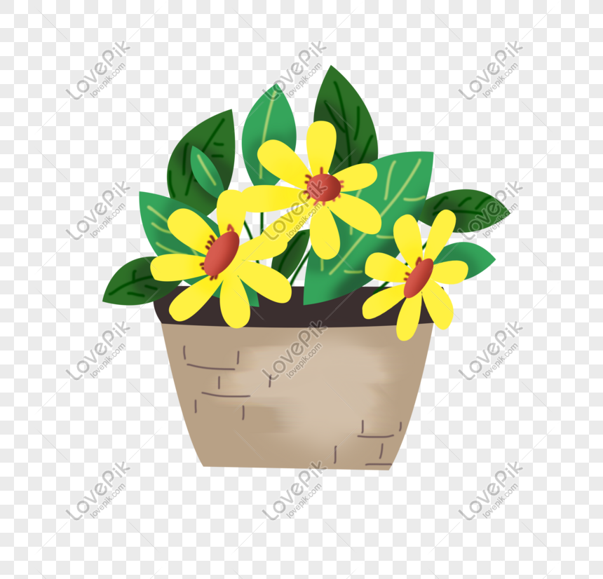 Flores Amarillas Plantas Verdes En Maceta PNG Imágenes Gratis - Lovepik