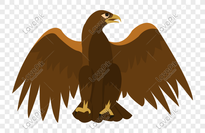 Brown Eagle Cartoon Illustration PNG White Transparent And Clipart Image  For Free Download - Lovepik | 611521922