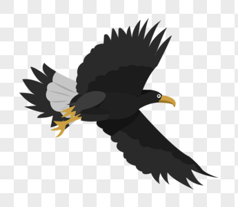 Eagle PNG Images With Transparent Background | Free Download On Lovepik