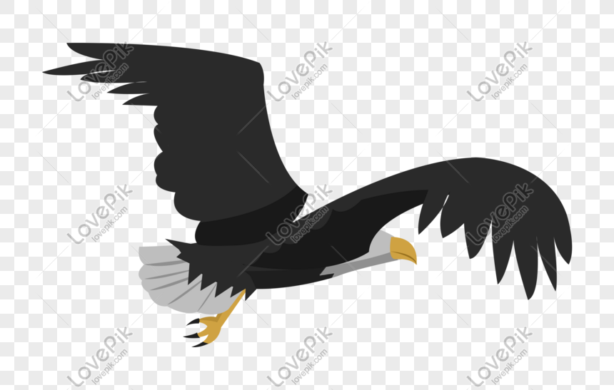 Eagle Cartoon Illustration In The Sky PNG Free Download And Clipart Image  For Free Download - Lovepik | 611521923