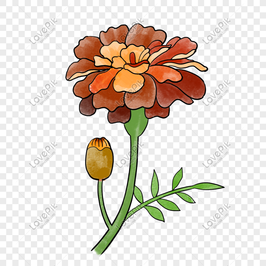 Hãy cùng khám phá những mẫu vẽ hoa cúc tuyệt đẹp để tô điểm thêm sắc màu cho ngôi nhà yêu dấu của bạn. Hoa cúc được xem là biểu tượng của sự tinh túy và dịu dàng, rất phù hợp để vẽ trang trí phòng khách hay phòng ngủ.
