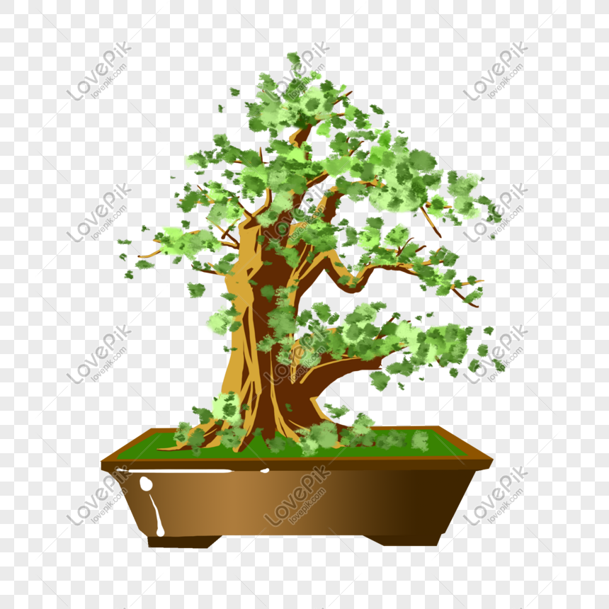 Bonsai - Bonsai Finto Per Acquario - Free Transparent PNG Clipart Images  Download