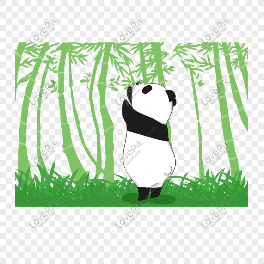 Panda bonito dos desenhos animados, panda animal desenhos animados pintados  à mão ilustração panda mão pintados ilustração cute clipart png