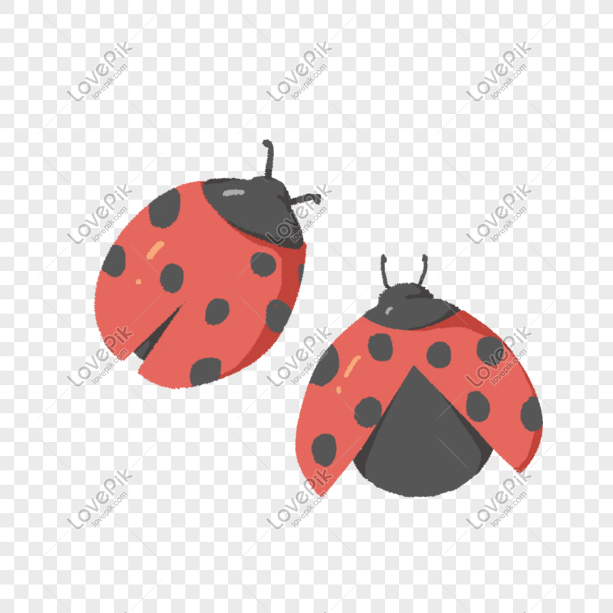 Hand Drawn Cartoon Seven Ladybug Free PNG And Clipart Image For ...