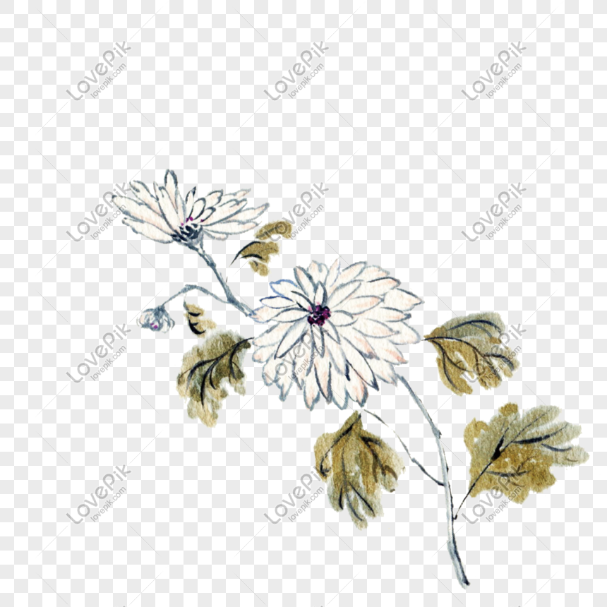 chinese ancient wind flower illustration chrysanthemum png image picture free download 611550635 lovepik com chinese ancient wind flower