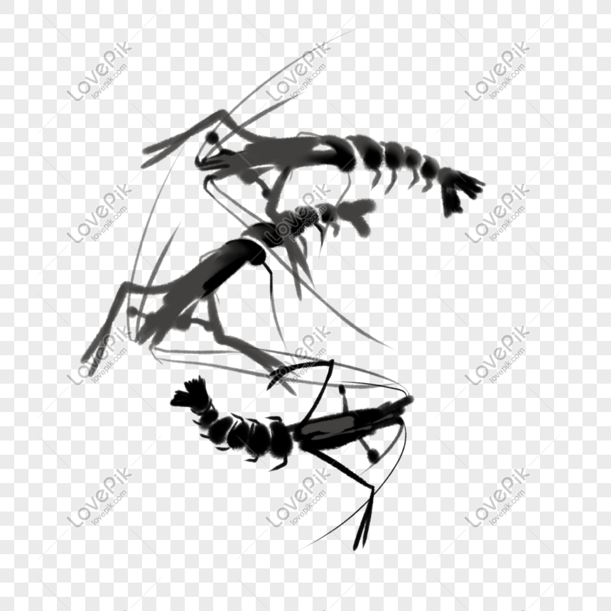 photo de illustration de crevettes a lencre noire numero de l image611554753 format d image psd fr lovepik com lovepik