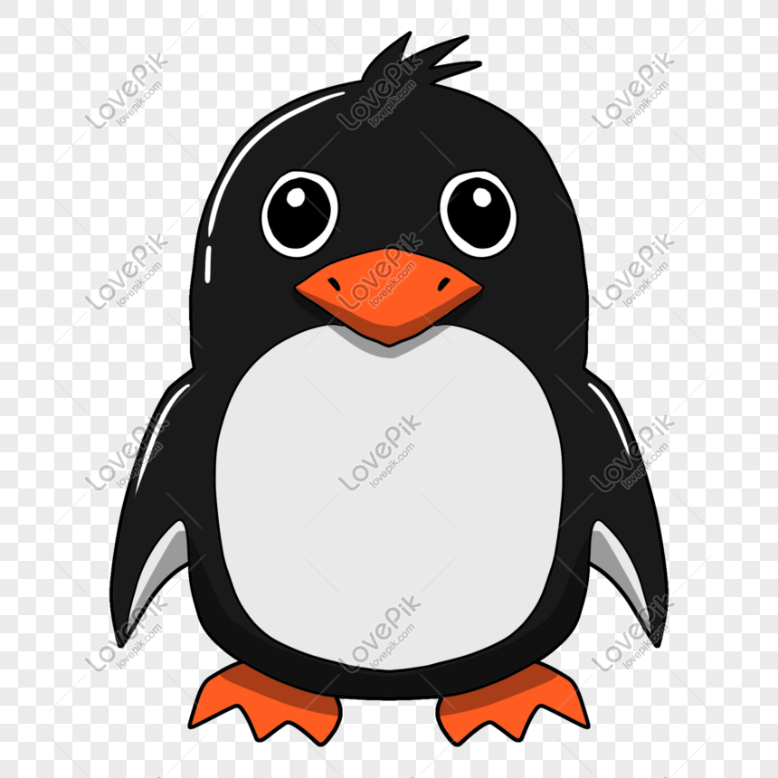 Hand Drawn Cartoon Penguin Illustration PNG Transparent And Clipart Image  For Free Download - Lovepik | 611547686