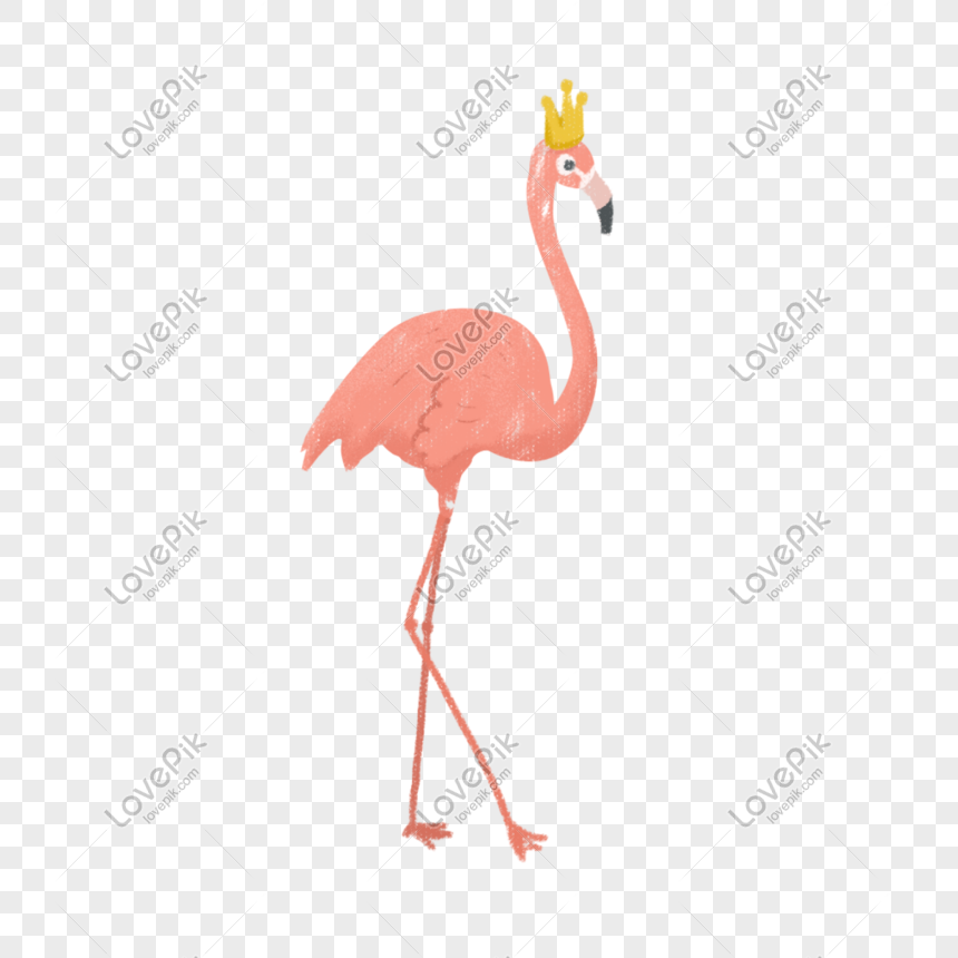 Photo De Flamant Rose Dessin Anime Dessine A La Main Dessines A La Main Dessin Anime Rose Graphique Images Free Download Lovepik