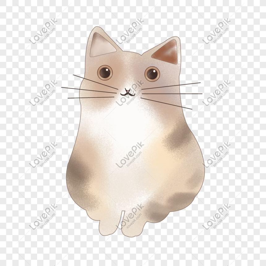 Photo De Illustration De Chat Gris Dessine A La Main Chat Gris Chat Chat De Dessin Anime Graphique Images Free Download Lovepik