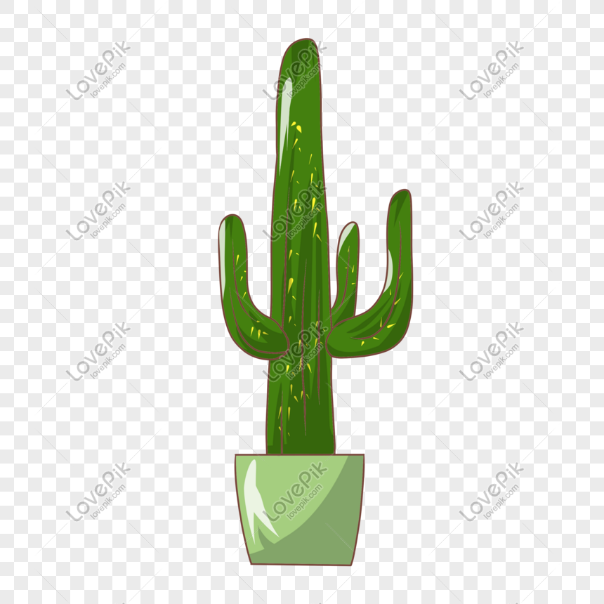 7 Cactus Illustration, Plant Drawing, Catus, Succulents, - Cactos Com  Flores Desenho Png - Free Transparent PNG Download - PNGkey